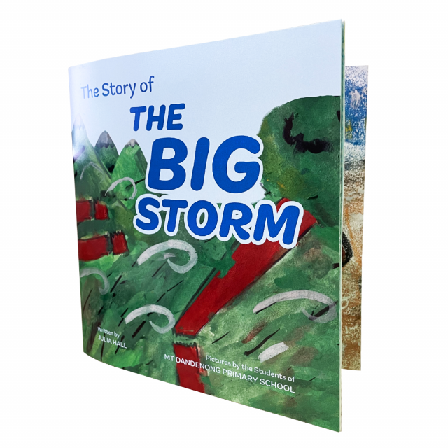 The Story Of The Big Storm - Book
