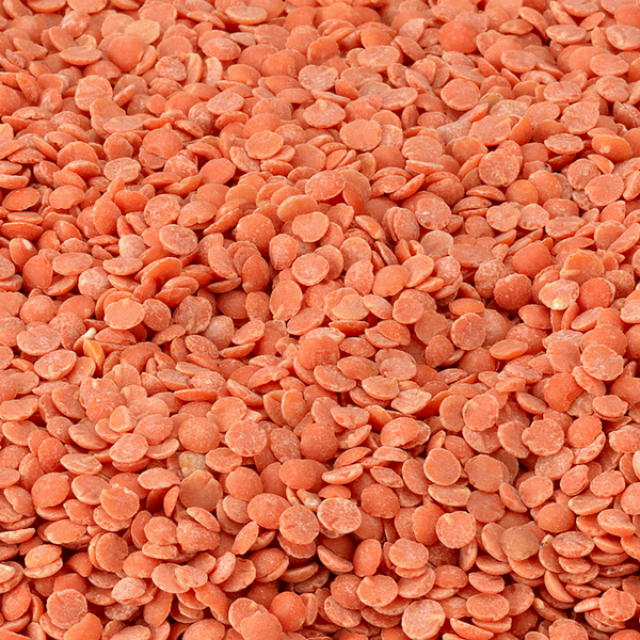 Organic Australian Red Split Lentils 100g